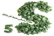 -آراستگی-در-محیط-کار
